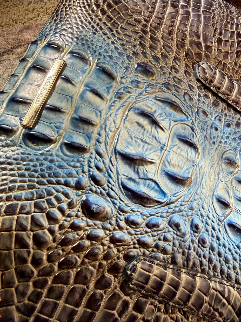 NWT Brahmin Small Finley Shadow Ombré Melbourne - Picture 11 of 13